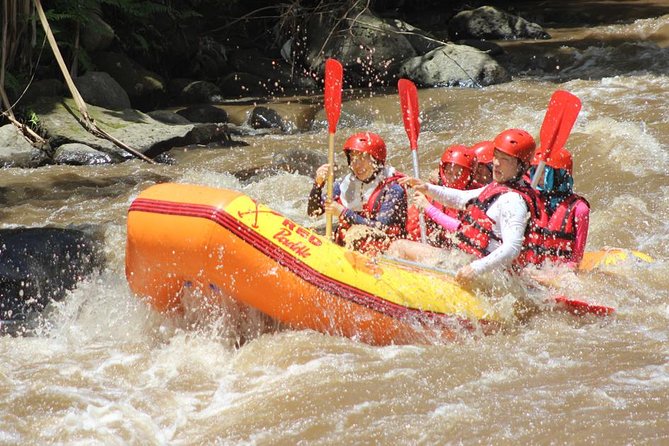 Ayung River - White Water Rafting Bali - Price and Value: What $30 Really Covers