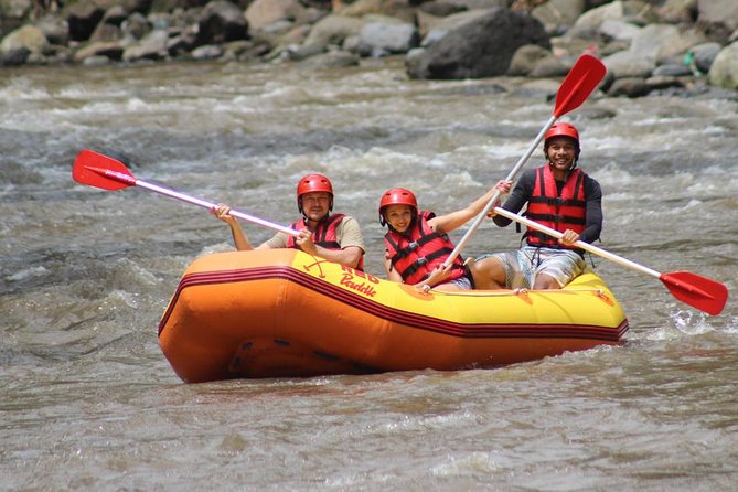 Ayung River - White Water Rafting Bali - From Equipment Fitting to the Water: The Descent to the Rafts