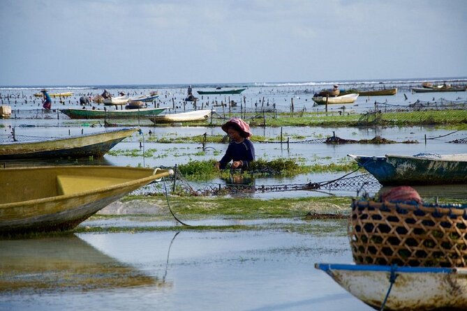 Bali 2 Days and 1 Nights of Nusa Penida and Lembongan Tour - Transportation and Timing: The Early Start Rules Your Day