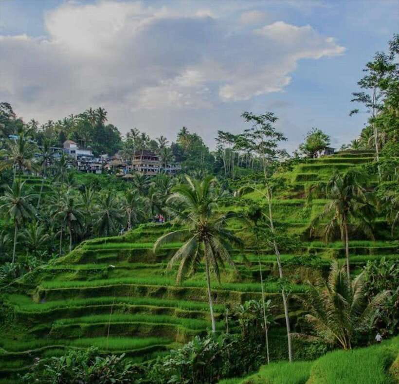 Bali: 3 best waterfall and tegalalang rice terrace - Price and Value: Does $37 Per Person Make Sense?