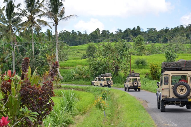 Bali 4WD Adventure WakaLand UNESCO Jatiluwih Trip in Bali Outback - Key things that make this 4WD Bali day trip work