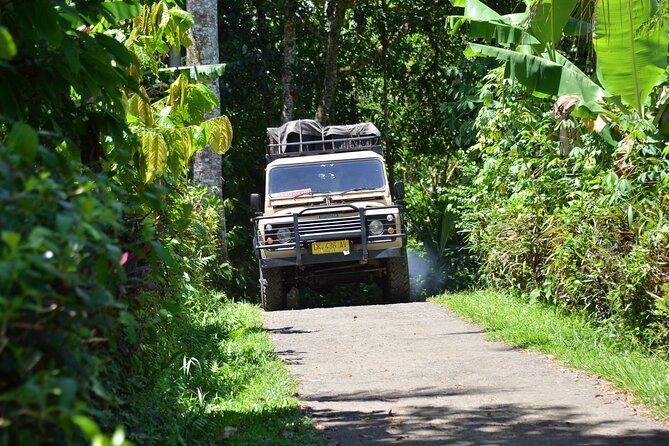 Bali 4WD Adventure WakaLand UNESCO Jatiluwih Trip in Bali Outback - Pace, Photos, Comfort, and the One Real-World Risk