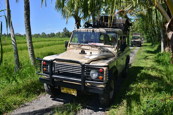 Bali 4WD Adventure WakaLand UNESCO Jatiluwih Trip in Bali Outback - Price and Value: What $115.39 Buys You (and Why It Can Be Fair)