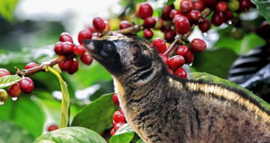 Bali: A Full-Day Tour to Goa Raja, Tibumana and Tukad Cepung - Who This Private Tour Is Best For