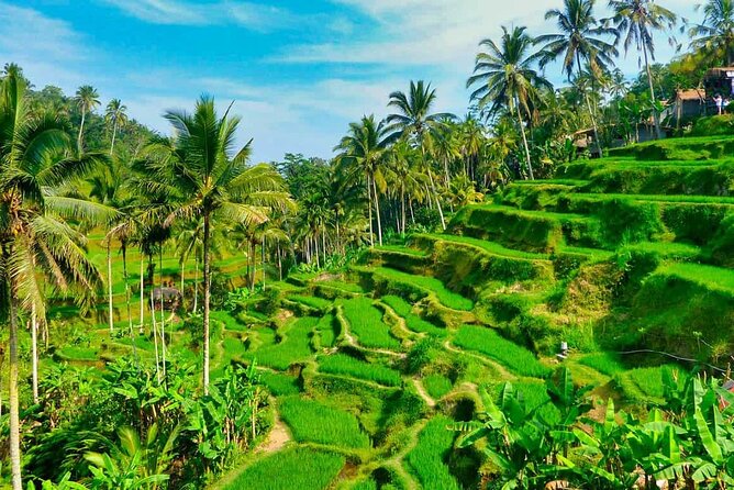 ️Bali All Inclusive Tour: Ubud - Tegalalang - Kintamani - Gunung Kawi: Antique Temple Candis and a River Running Through It
