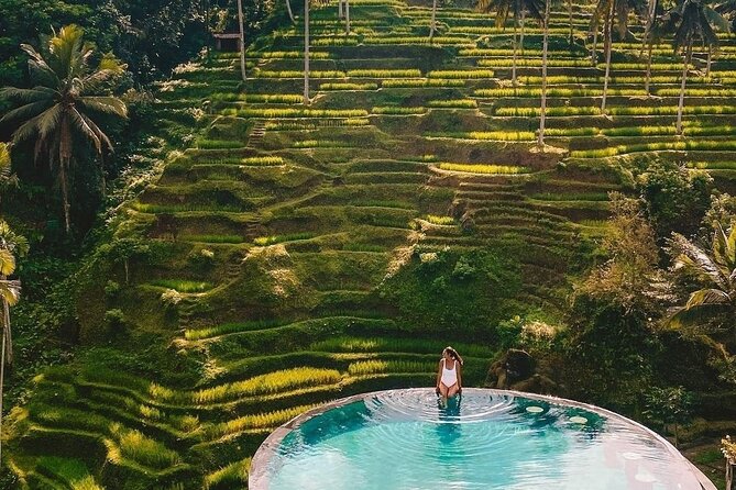 ️Bali All Inclusive Tour: Ubud - Tegalalang - Kintamani - The Guide Makes or Breaks the Day
