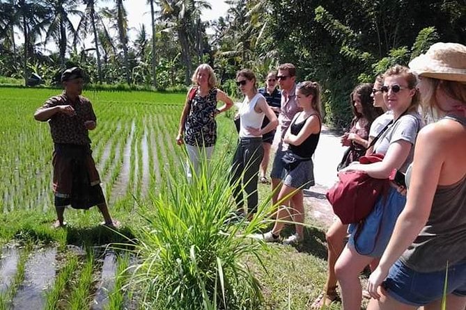 Bali Amazing Cooking Class - The hands-on cooking lesson: around 10 dishes and clear steps