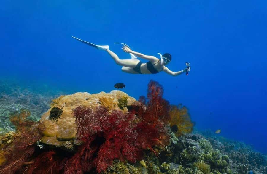 Bali: Amed, Jemeluk & Lipah Beach Snorkeling Adventure - Guide and Crew: How the Experience Feels Day-to-Day