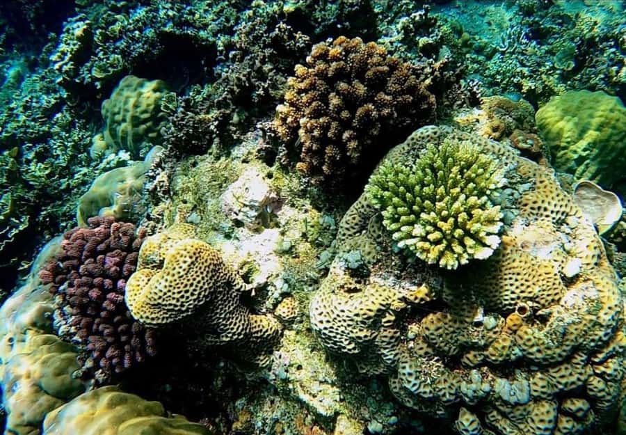 Bali: Amed, Jemeluk & Lipah Beach Snorkeling Adventure - The 4–8 Hour Promise (and Why Your Day Might Be Shorter)