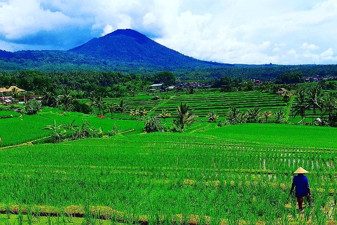 Bali Ancient Temples Tour - A Private Temple and Rice-Terrace Day from Ubud