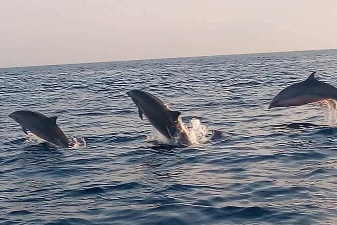 Bali and Lovina with Sunrise Dolphin Tour and Snorkeling - Key highlights to know before you go