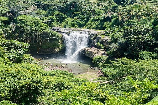 Bali Art Shopping and Culture Tour - Price and logistics: what $63 gets you in real terms