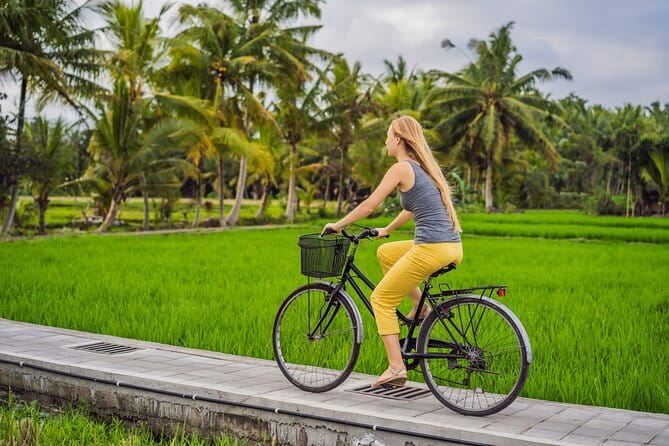 Bali ATV Bike Cave and waterfall with hotel Pick Up And Lunch - Rice Paddies in Ubud: Views You’ll Appreciate Before You Get Muddy