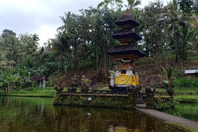 Bali ATV Combined with Mumbul Lake And Sangeh Monkey Forest - Sangeh Monkey Forest: the highlight for many people