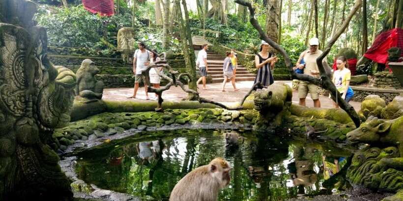Bali: ATV Gorilla Cave, Ubud Monkey Forest, & Waterfall Tour - FAQ