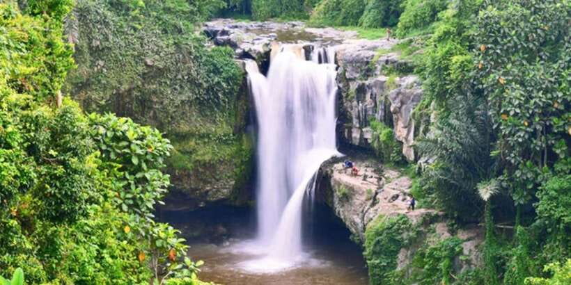 Bali: ATV Gorilla Cave, Ubud Monkey Forest, & Waterfall Tour - Logistics that make or break your day