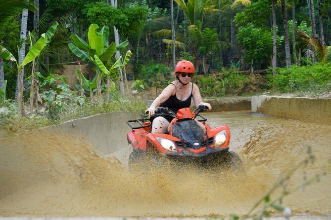Bali ATV Quad Adventure - Ubud Monkey Forest and Waterfall - Sacred Monkey Forest Sanctuary: watching monkeys and keeping your cool