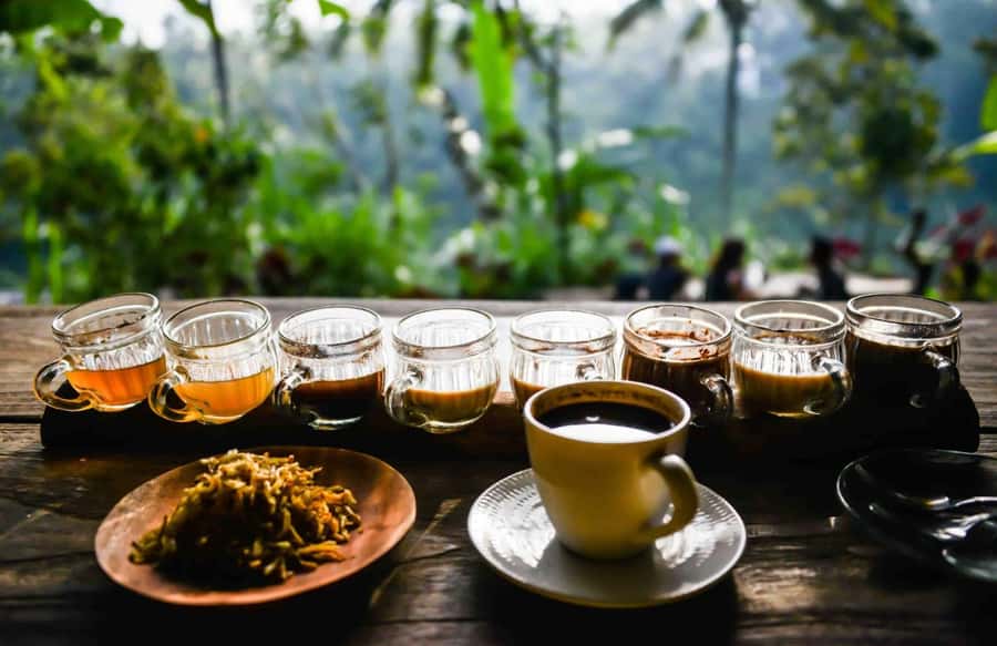 Bali: ATV Quad Bike and Ayung River Rafting with Lunch - Cultural Tour Time: Temples and Villages With Context