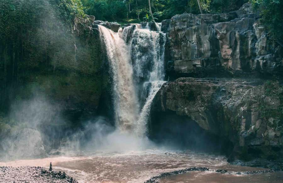 Bali: ATV Quad Bike and Ayung River Rafting with Lunch - Fitness, Safety, and Who This Tour Fits Best