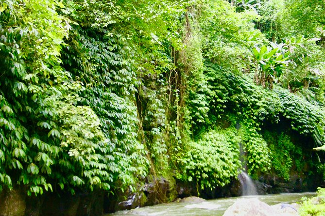Bali ATV Quad Bike & Ayung River Rafting Combo with Lunch - Pickup, small-group energy, and timing in Ubud