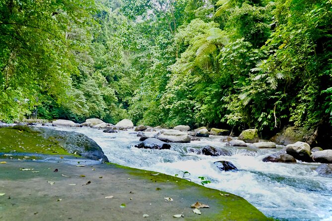 Bali ATV Quad Bike & Ayung River Rafting Combo with Lunch - Price and value: is $100 a fair deal for rafting plus ATV?