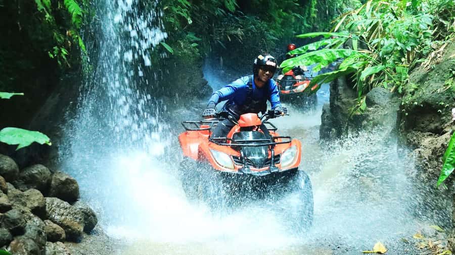 Bali: ATV Quad Bike, Monkey Forest, Jungle Swing with Lunch - The Jungle Swing at Tegalalang: The Photo Moment You’ll Actually Remember