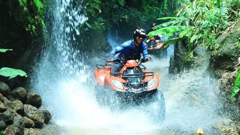 Bali: ATV Quad Bike, Monkey Forest, Jungle Swing with Lunch - Timing and Transfers: Why the AC Private Car Matters in Bali