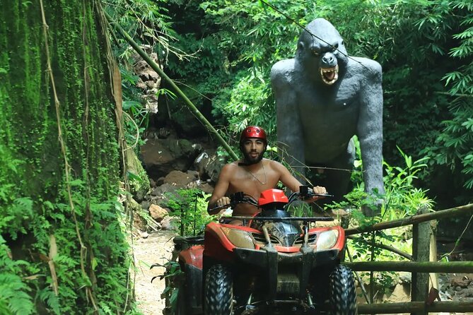 Bali ATV Quad Bike with Ubud Day Tour All Inclusive - Stop 3: Tegalalang Rice Terrace views you can actually take your time with