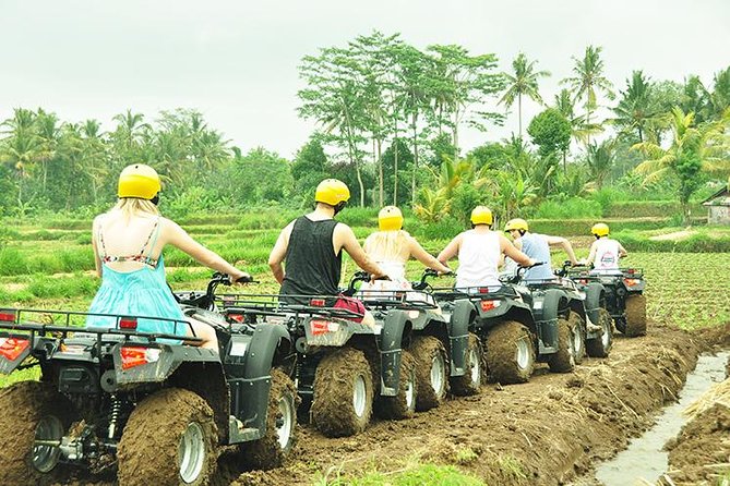 Bali ATV Ride - Quad Biking Adventure - The 250cc Semi-Automatic Quads: What You’ll Feel on the Tracks