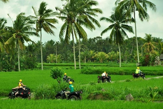 Bali ATV Ride Ubud Jungle Track - ATV Through Ubud: Why This Jungle Track Feels Different