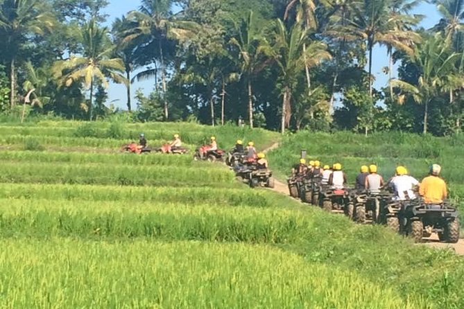 Bali ATV Ride Ubud Jungle Track - Price, Time, and What You Really Get for $39.79