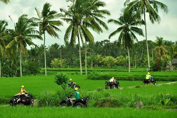Bali ATV Ride waterfall jungle and rice fild track ubud - A guided private quad ride: what your guide does for you