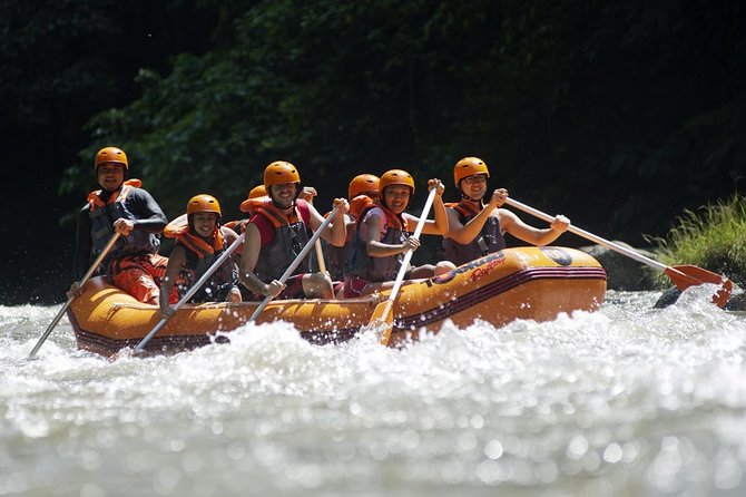 Bali Ayung River White Water Rafting with Transport - Ubud Pickup and Private Transfers: How the Day Starts Smooth