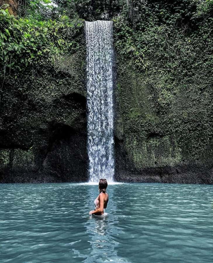 Bali: Best of Ubud Waterfalls Tour - Key Highlights You’ll Care About