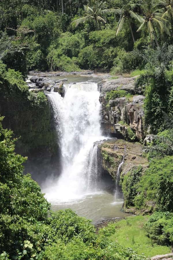 Bali: Best of Ubud Waterfalls Tour - How This Bali Waterfall Day Works (And Why It Feels Worth It)