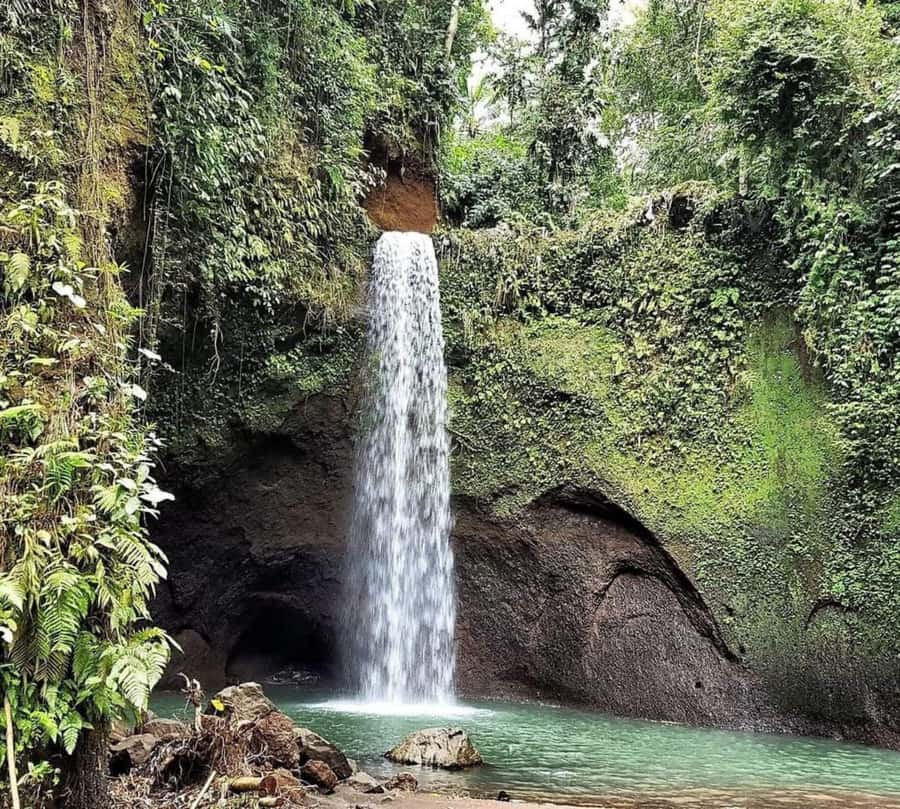 Bali: Best of Ubud Waterfalls Tour - The Photo Advantage: Getting Good Shots Without Spending Your Day Alone