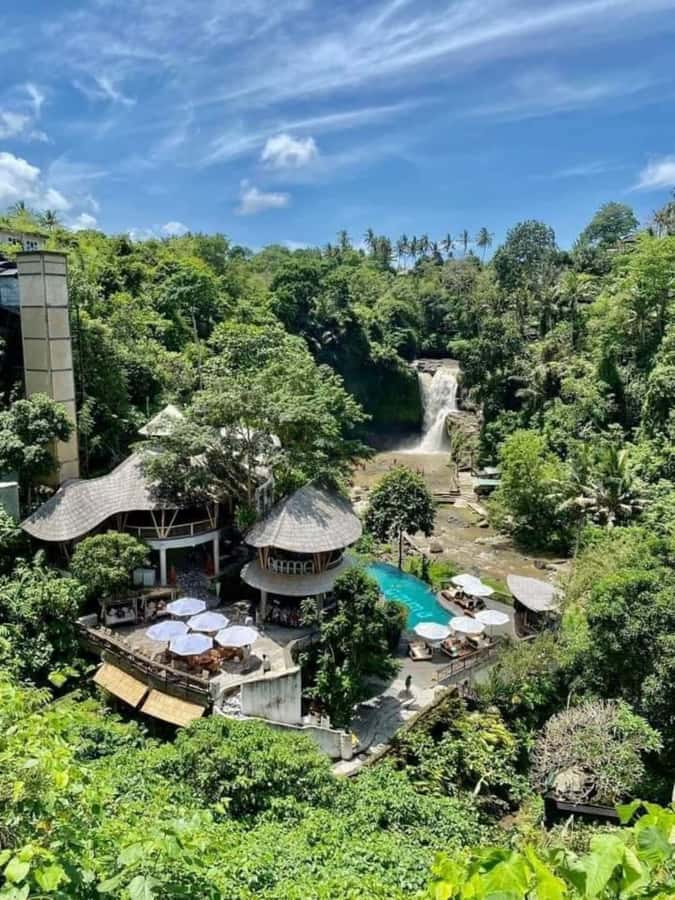Bali: Best of Ubud Waterfalls Tour - Pickup and Timing: The Ubud-Waterfall Shortcut You’re Actually Paying For