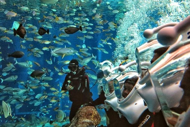 Bali Best Watersport Sea walker,Parasailing adventure,Jet sky - Jet Ski in Nusa Dua: Quick Thrills Without the Long Wait