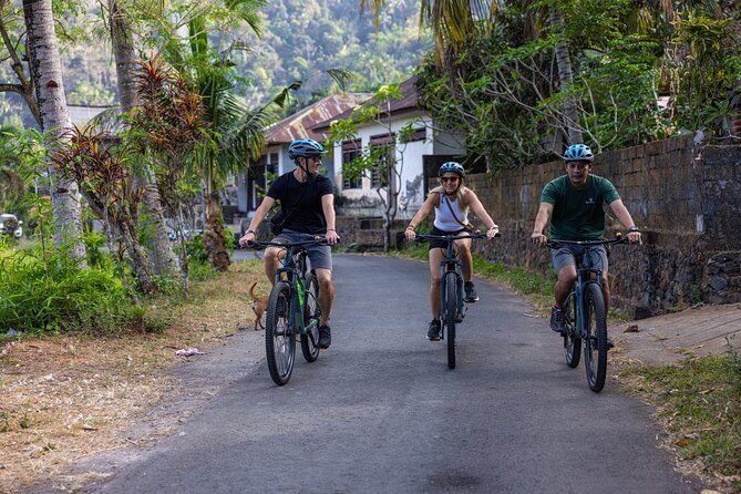 Bali Bike Tour Ubud Area - Key Highlights You’ll Feel on the Day