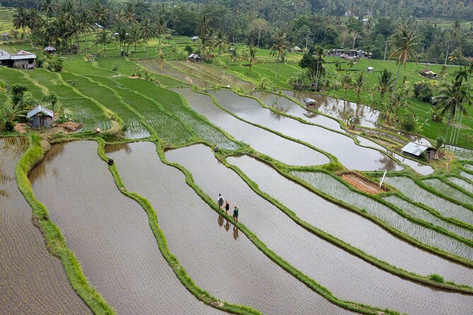 Bali Bike Tour Ubud Area - Bikes, Safety Car, and Comfort: The Real Convenience Factor
