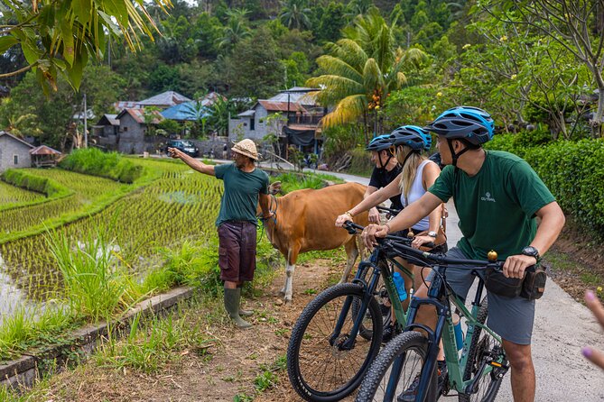 Bali Bike Tour Ubud Area - Price and Value: Is $67.28 Worth It?