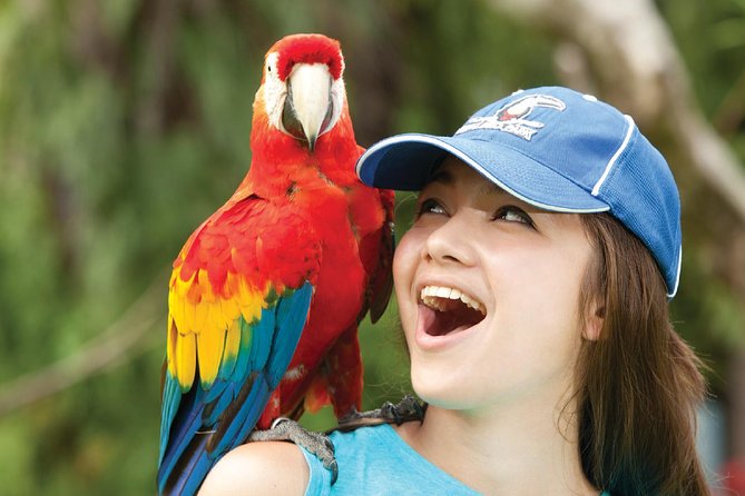 Bali Bird Park Admission Ticket - Entering the Park: Walk Among Birds, Not Through Them