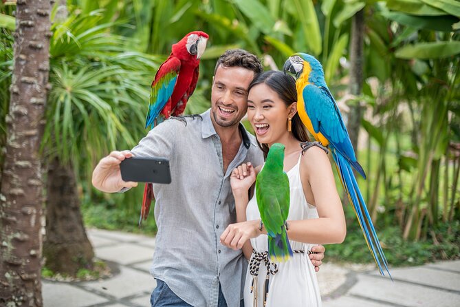 Bali Bird Park Admission Ticket - The Free Flight Bird Show: When Birds Return to You