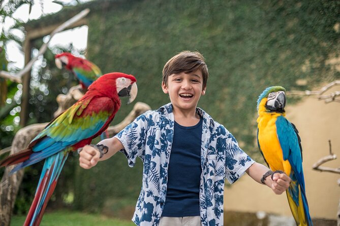 Bali Bird Park Admission Ticket - 4D Movie and Break Time: Not a Waste, Just a Reset