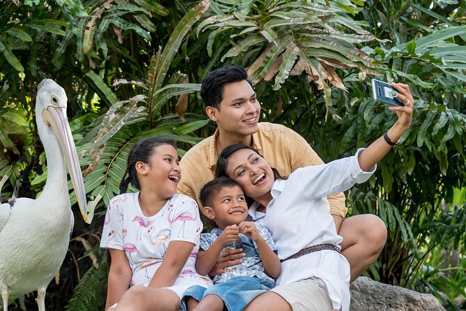 Bali Bird Park Admission Ticket - Extra Encounters: Stars Like Anna-Maria