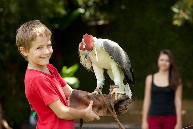 Bali Bird Park Admission Ticket with Hotel Transfer - Bali Bird Park for $38: What You’re Really Paying For