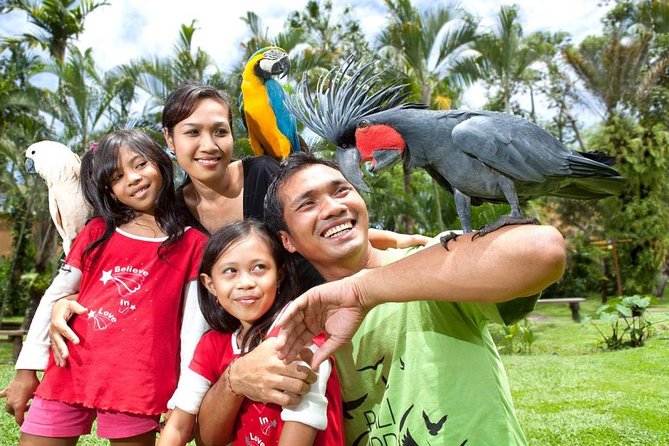 Bali Bird Park Admission Ticket with Hotel Transfer - The Main Stop: Inside Bali Bird Park at Your Own Pace