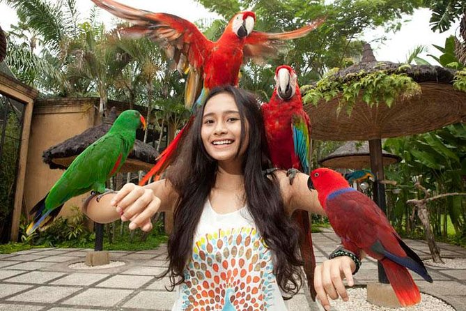 Bali Bird Park Admission Ticket with Hotel Transfer - Bird Shows Included: Why Timing Matters