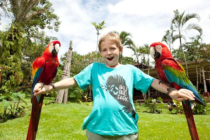 Bali Bird Park Admission Ticket with Hotel Transfer - Grounds, Cleanliness, and the Feel of the Place