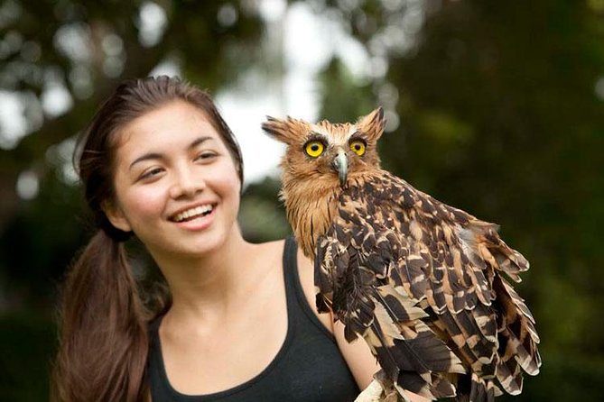 Bali Bird Park Admission Ticket with Hotel Transfer - Getting From Ubud (and Beyond) Without Taxi Stress